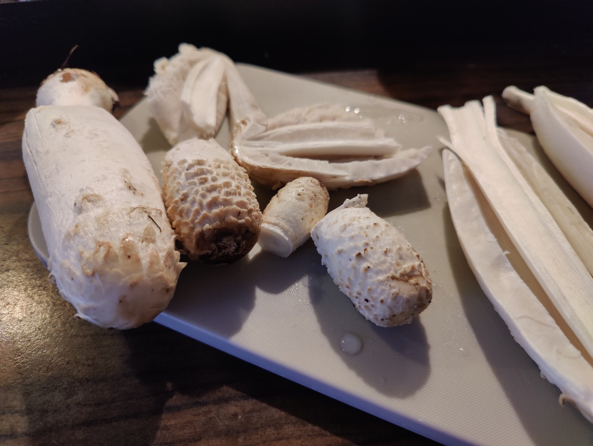 [MISSING_TRANSLATION:cooking_image_alt]