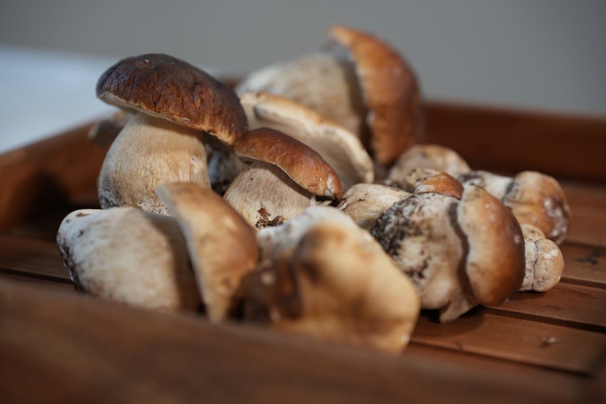 [MISSING_TRANSLATION:cooking_image_alt]