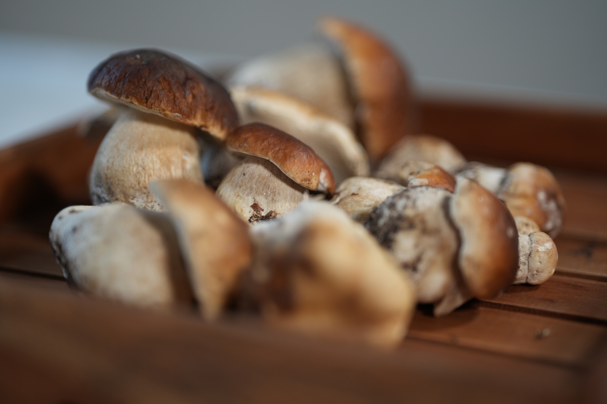 [MISSING_TRANSLATION:cooking_image_alt]