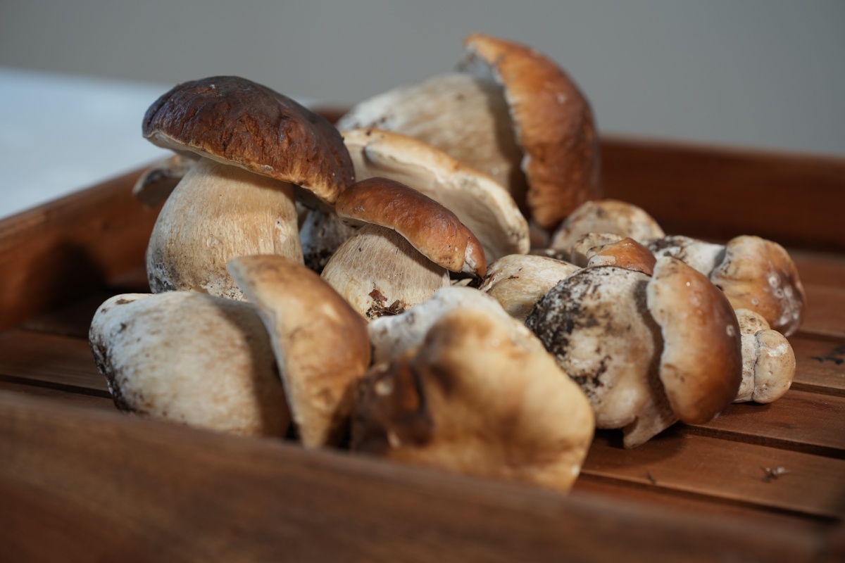 [MISSING_TRANSLATION:cooking_image_alt]