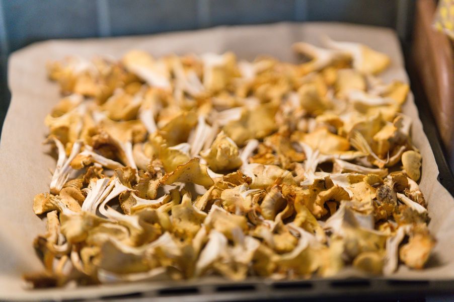 [MISSING_TRANSLATION:cooking_image_alt]