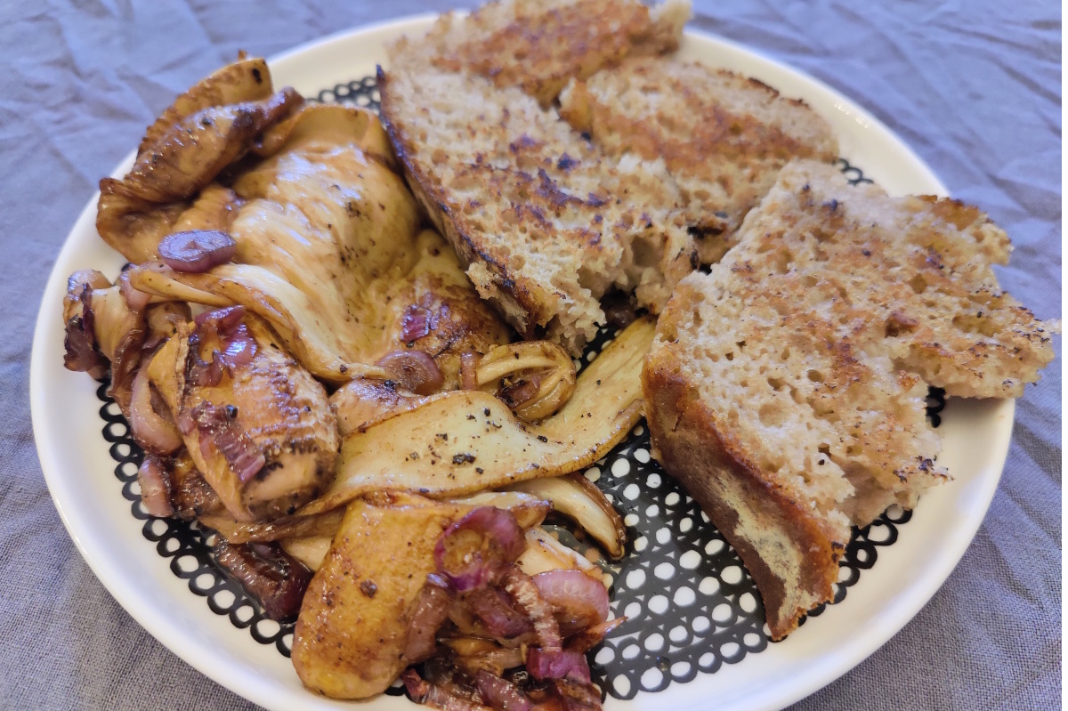 Gebratene Schopftintlinge