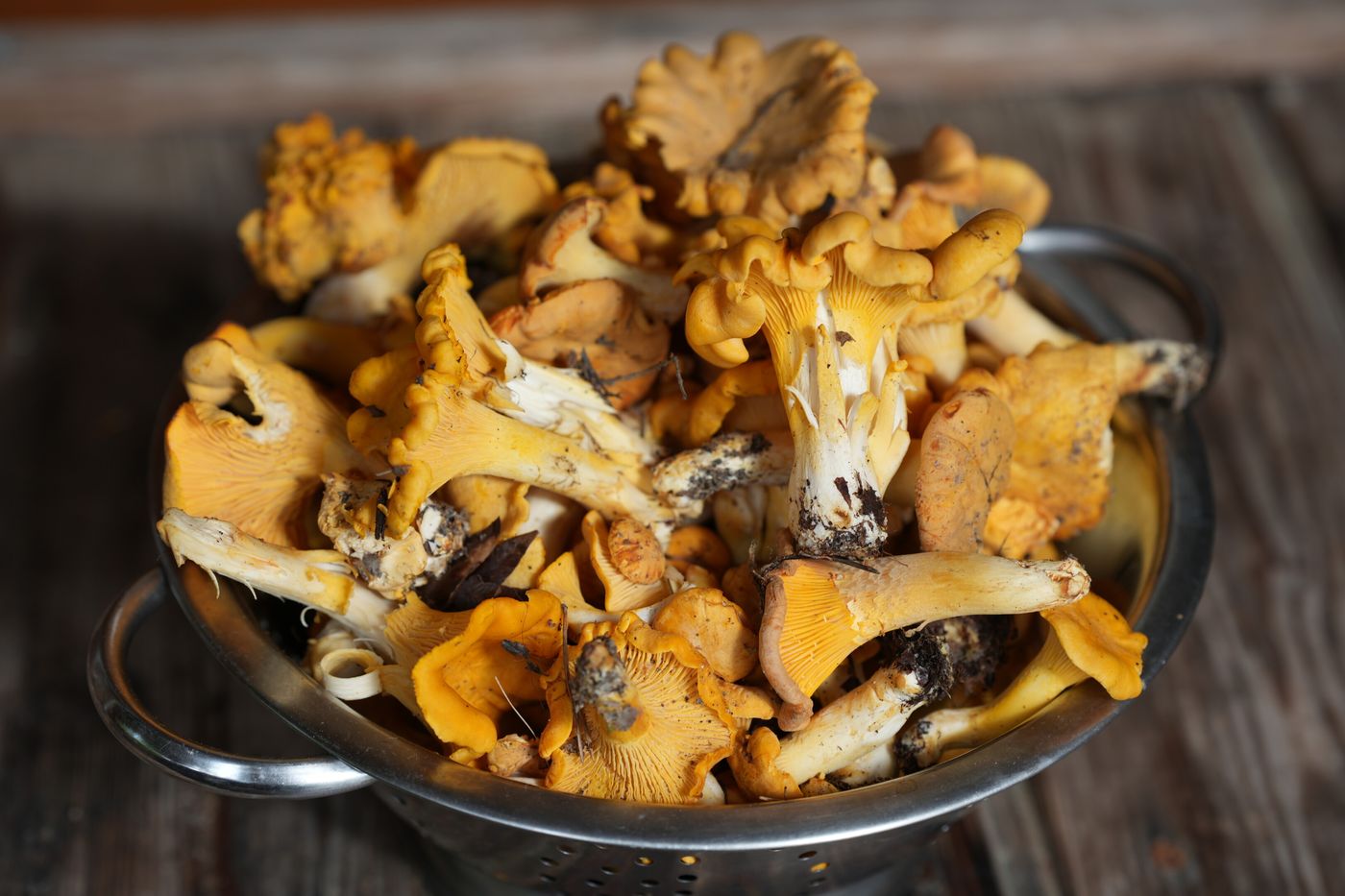 Aromatische Gebratene Pfifferlinge (Eierschwammerl) mit Knoblauch und Petersilie